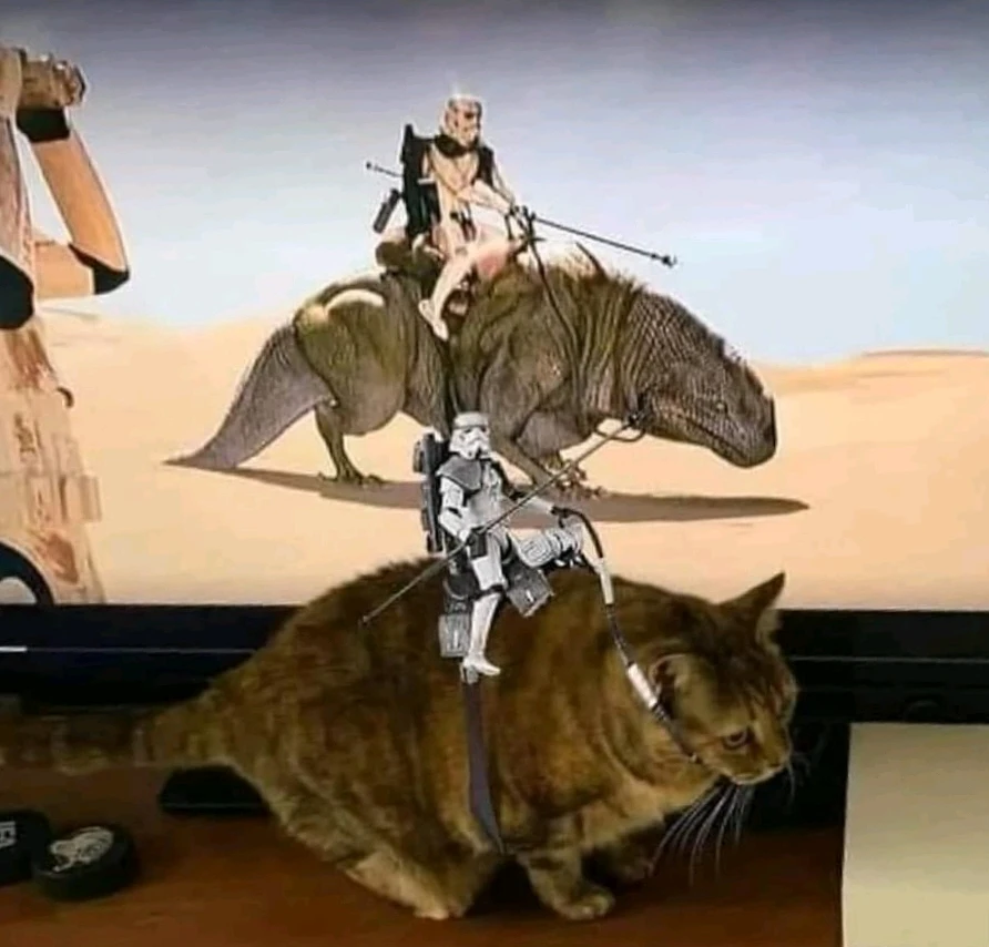 Bild hochgeladen von Doris