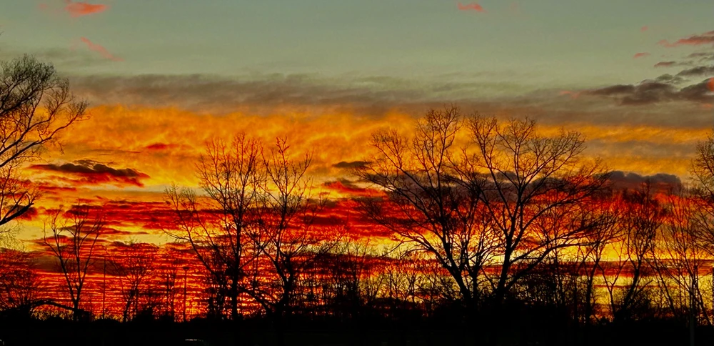 Thea által feltöltött kép