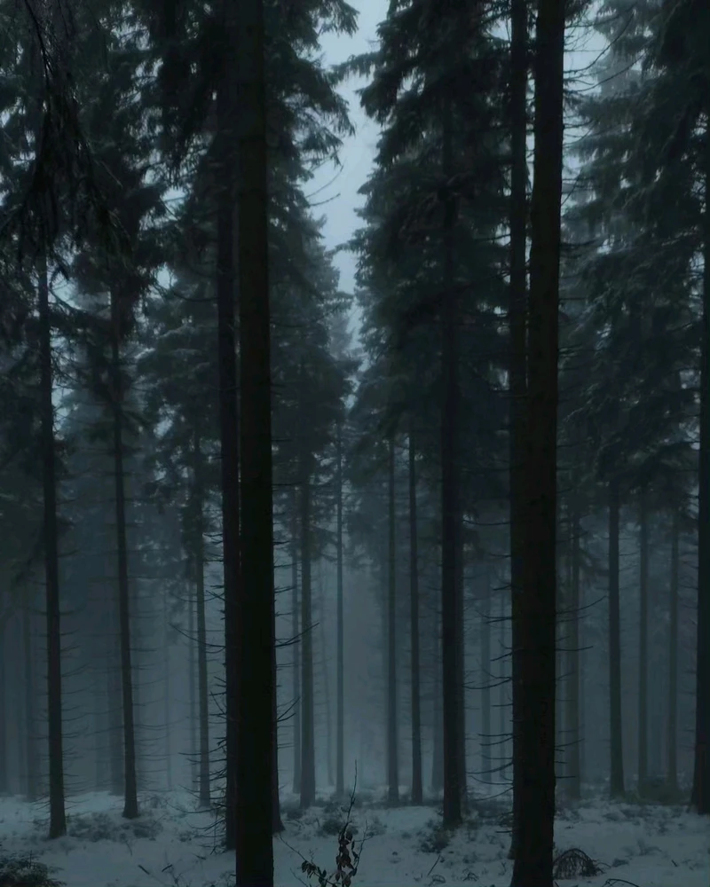 Зображення завантажив Yaroslav