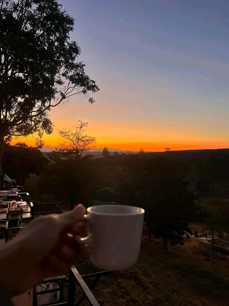 Image uploaded by Dolphin