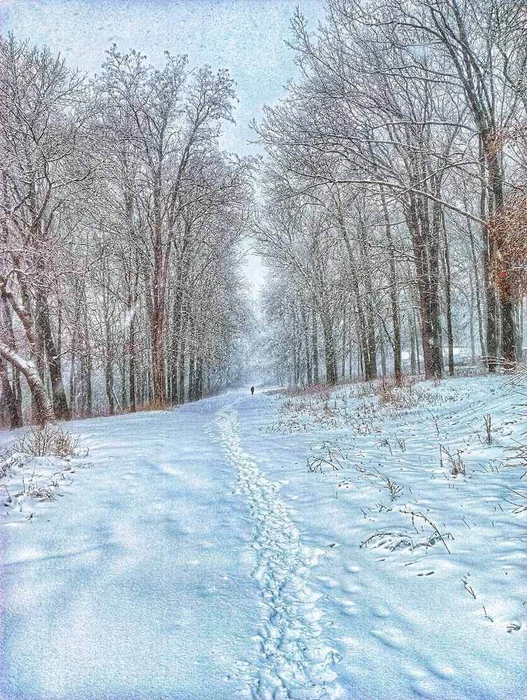 First snow trip with flurries part 1❄️