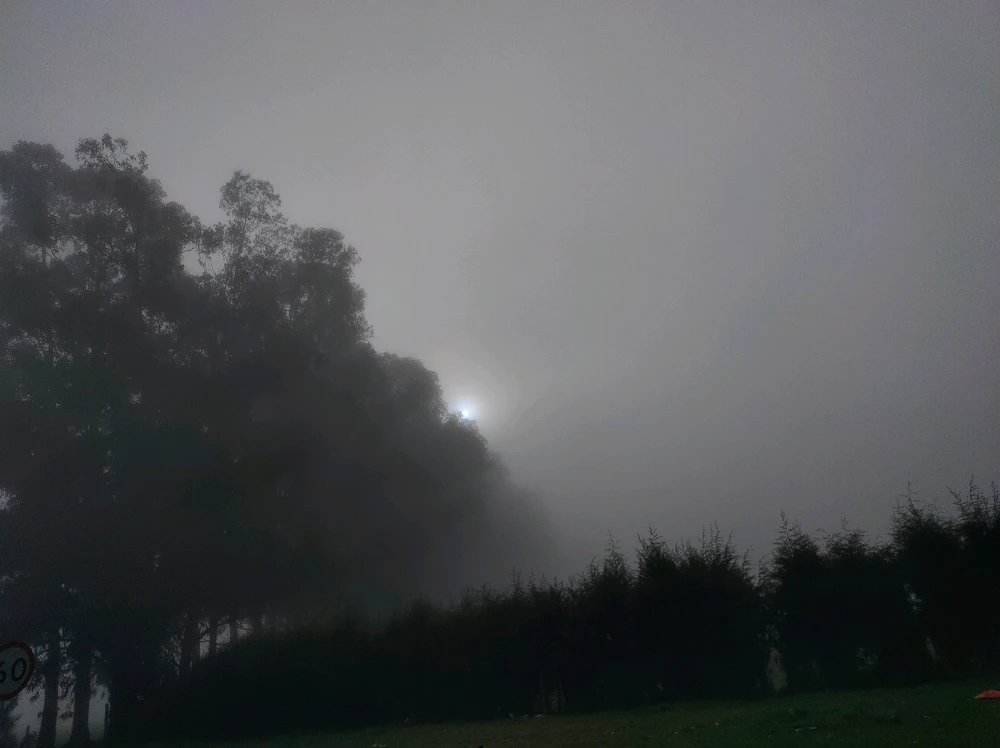Salida del sol en medio de la neblina