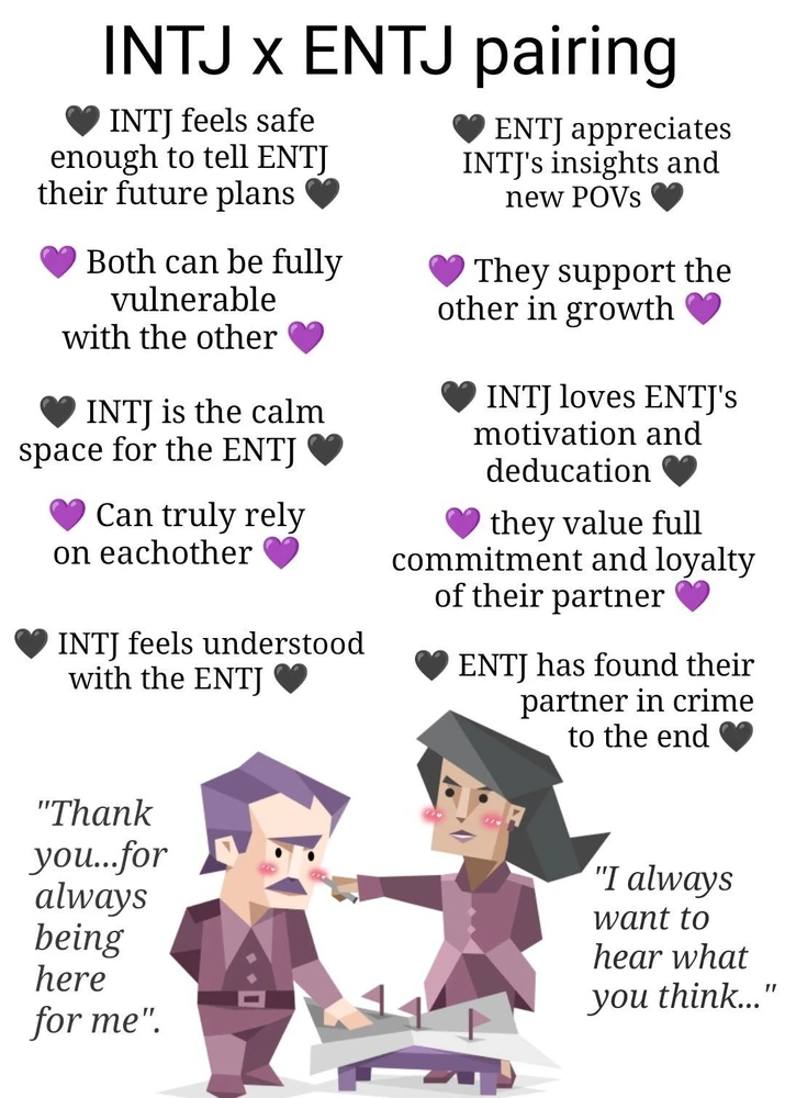 INTJ x ENTJ
