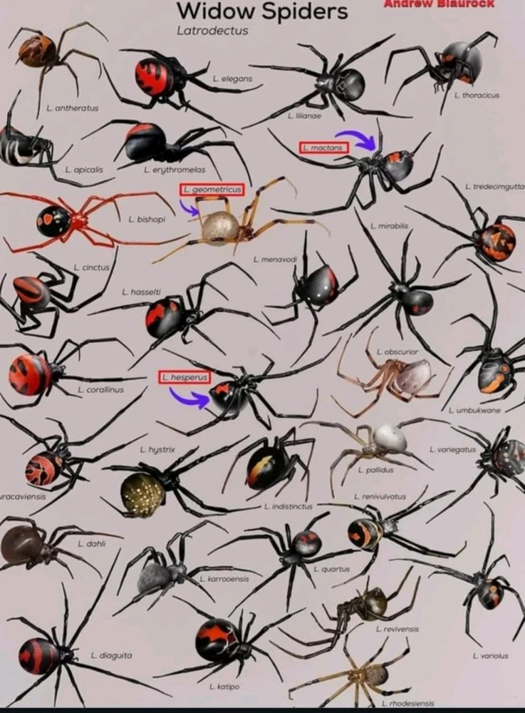 Imagen subida por Jesús