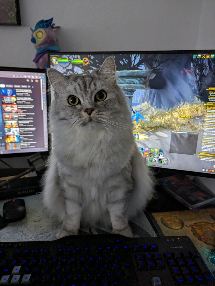 Bild hochgeladen von Saša