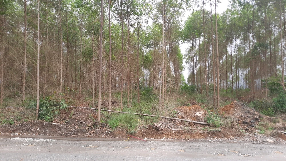 Image uploaded by Edo