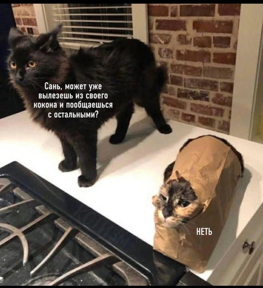 Фото загрузил V