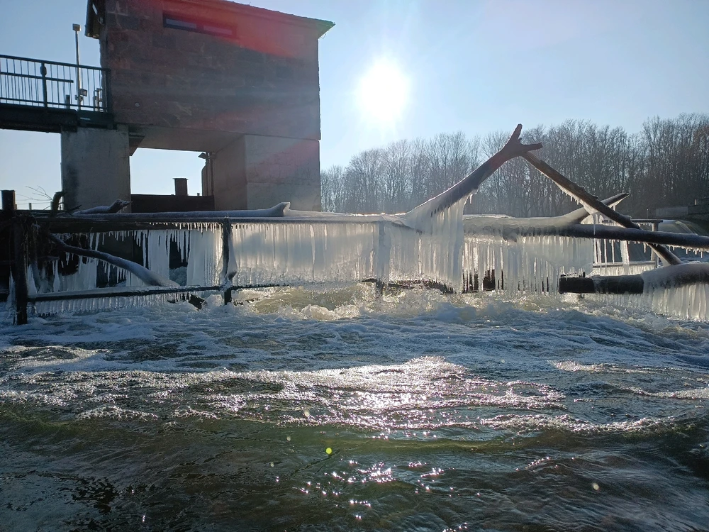 Bild hochgeladen von Marci