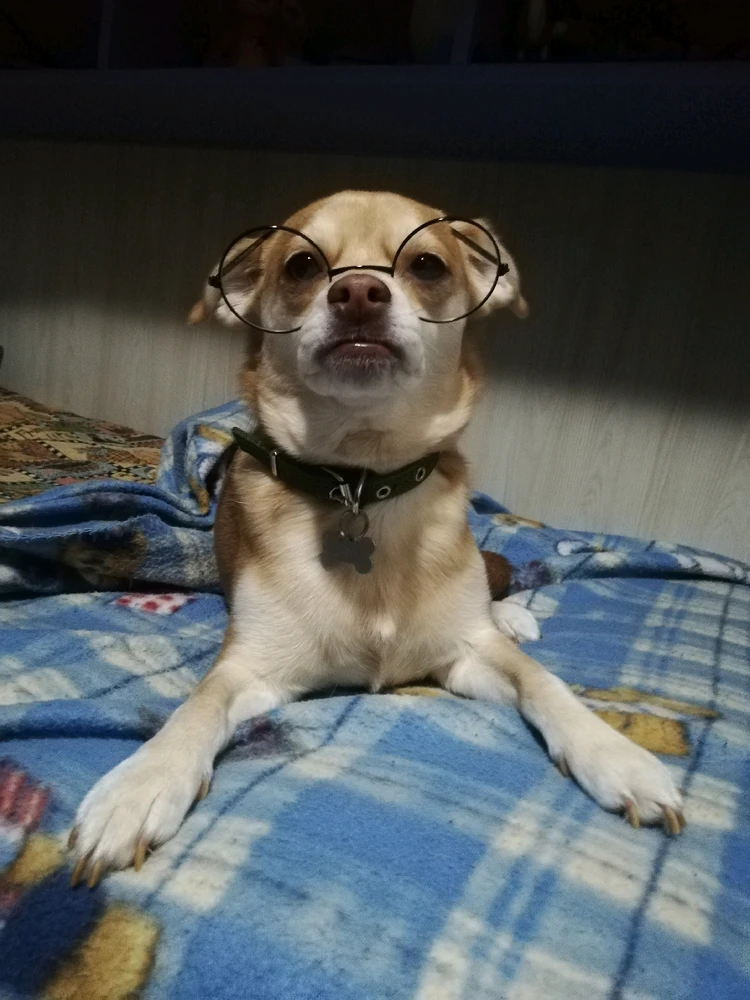 Immagine caricata da Roberta