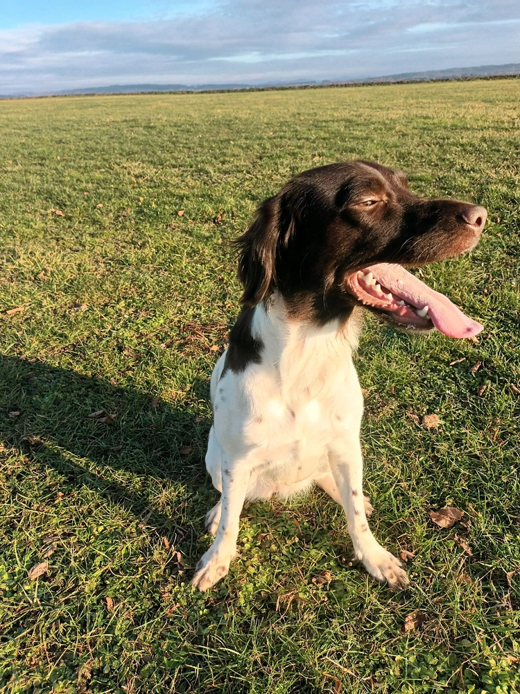 Obrázek nahrál Martina