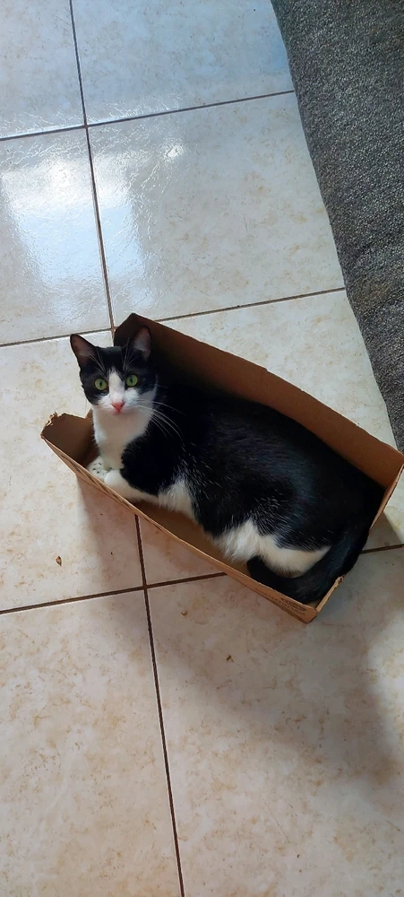 Imagem enviada por Thais Mattos Sullivan