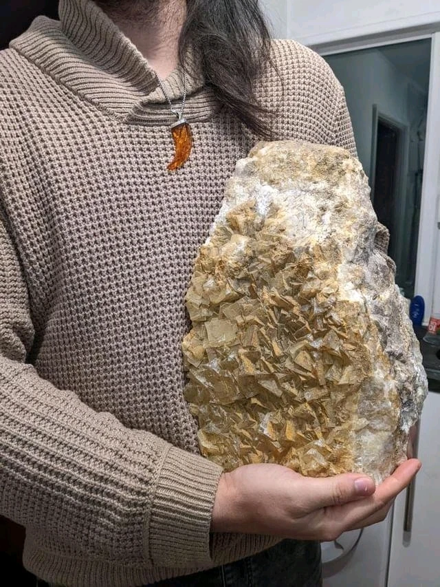 Image uploaded by Ryan