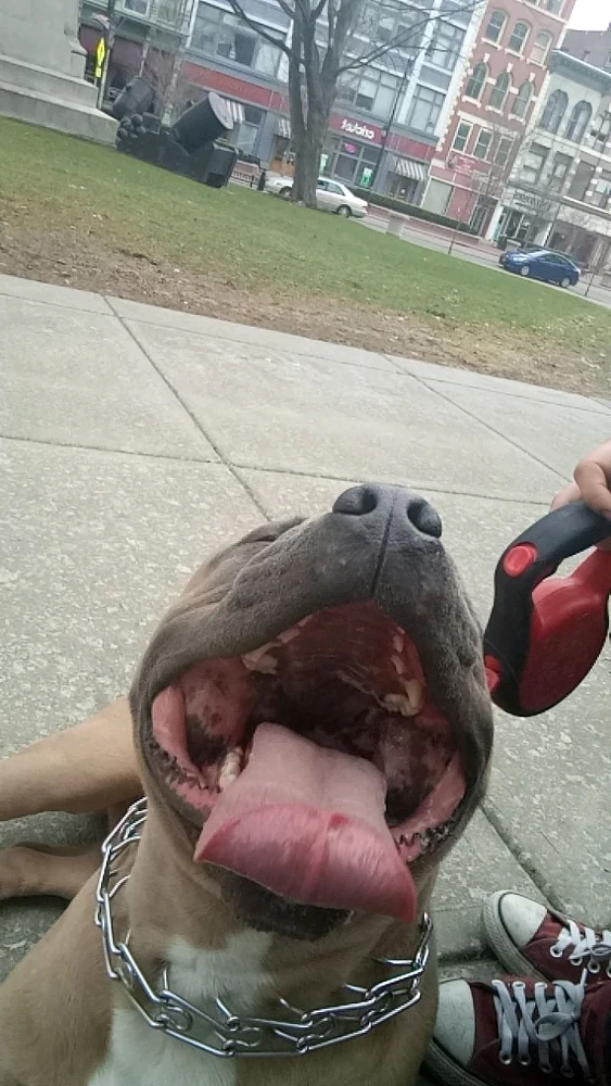 Image uploaded by David