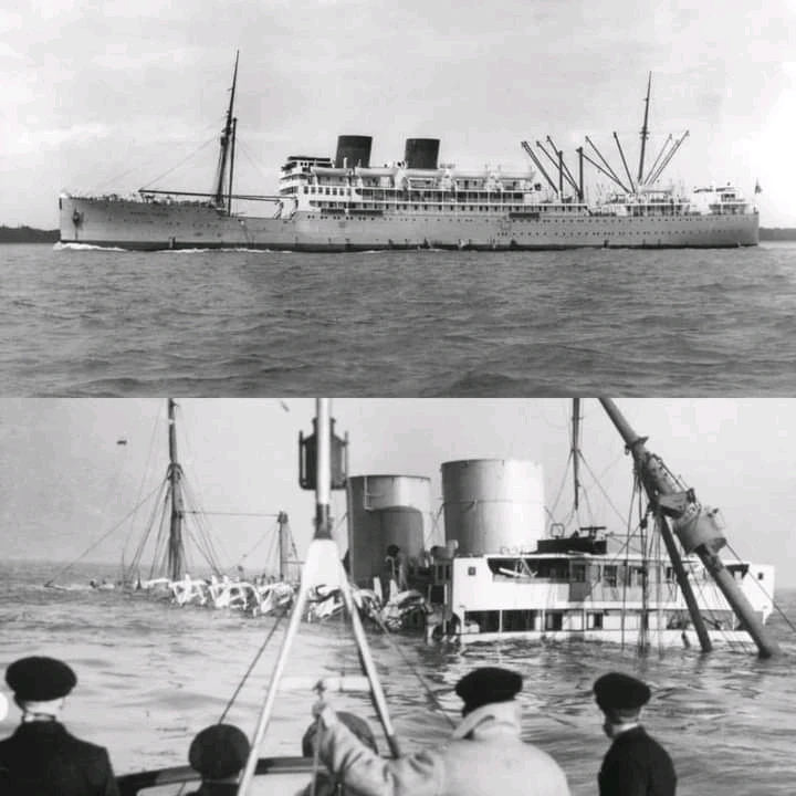 Image uploaded by Erik Thackrey