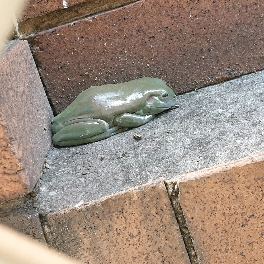 Image uploaded by Trilby