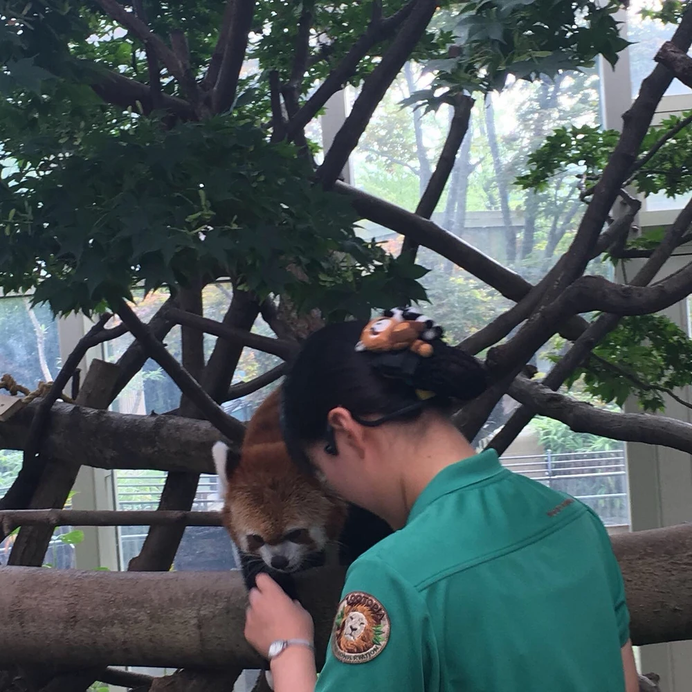 Image uploaded by Kukay