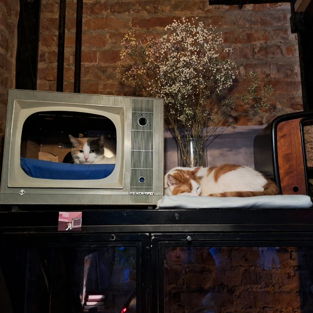 Фото загрузил Vichesska