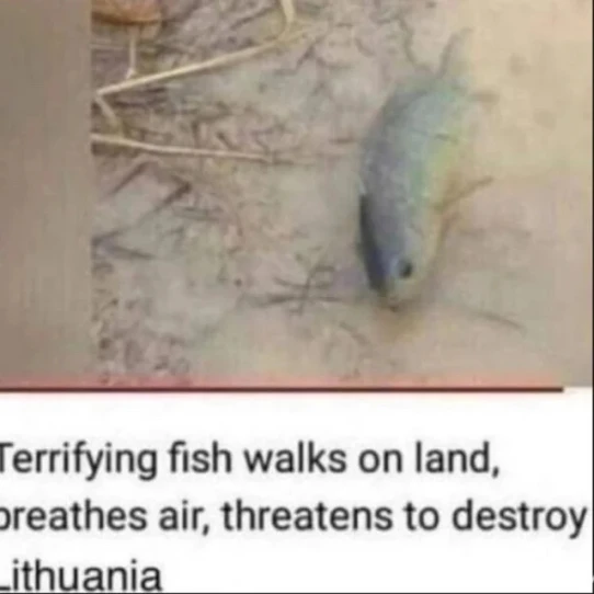 Nuotrauką įkėlė Reinhardt