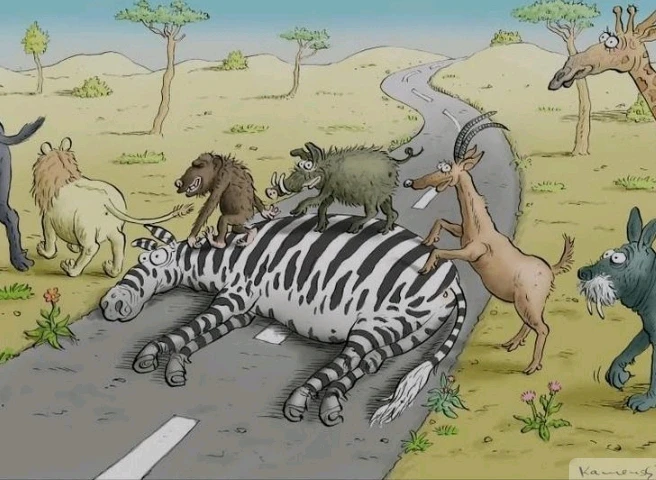 Image ajoutée par 千卂几ㄒㄖ爪乇ㄒㄒ乇 🎀🎈💡