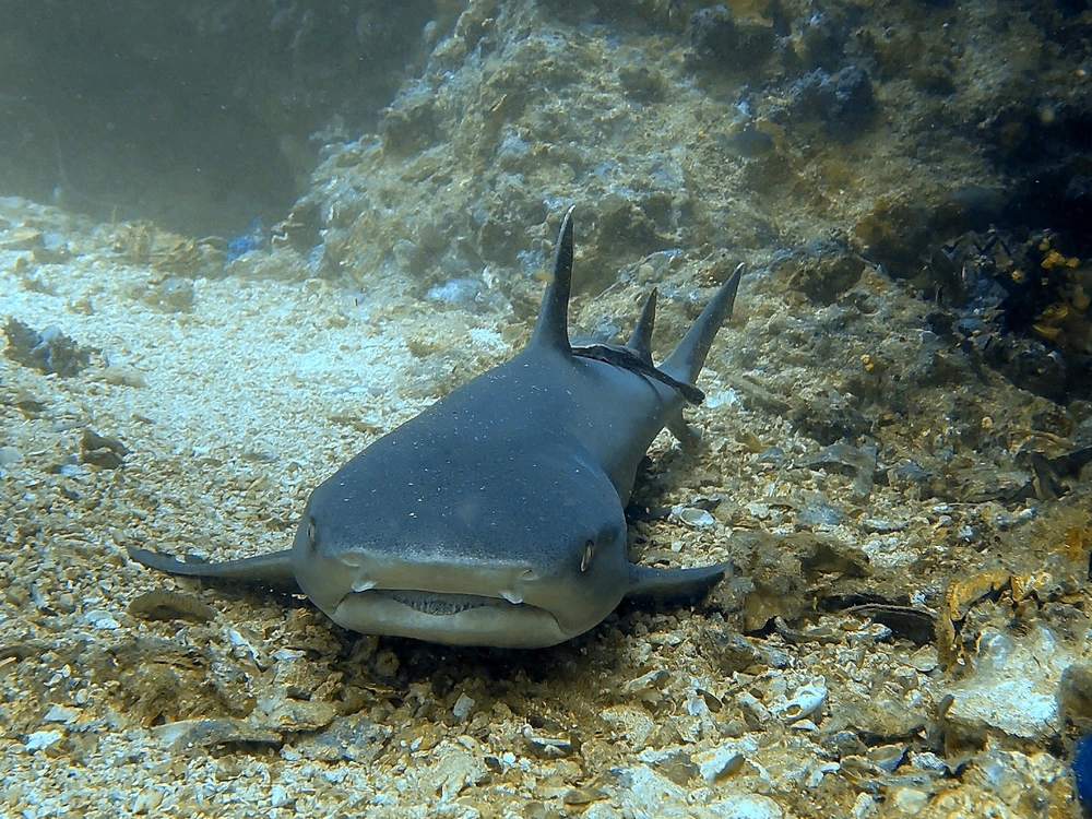 Bild hochgeladen von Ly