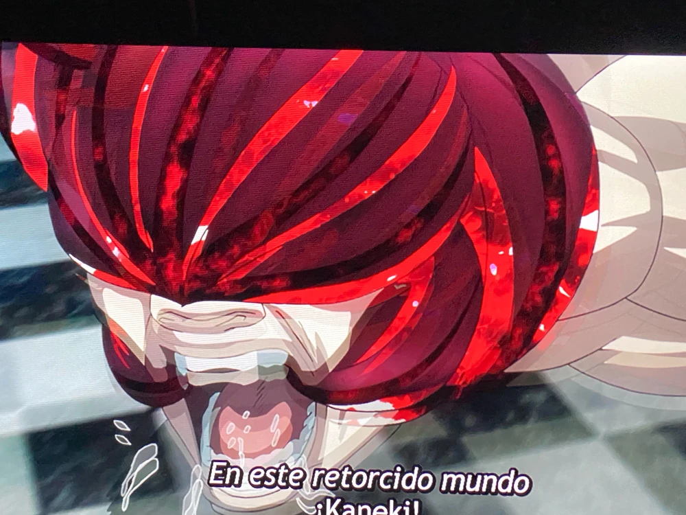 Edgardoがアップロードした画像