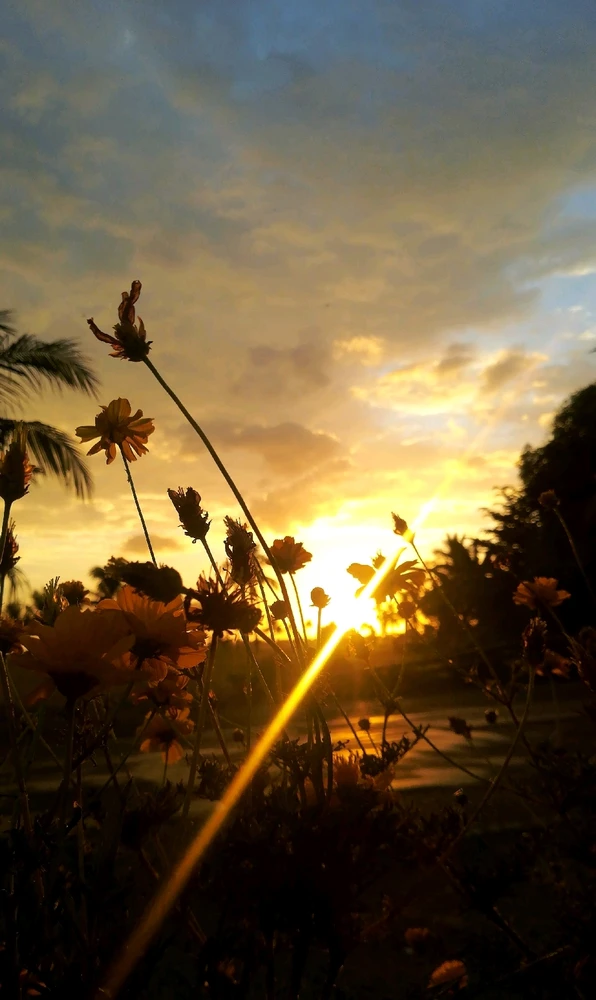 Image uploaded by Rita Monet