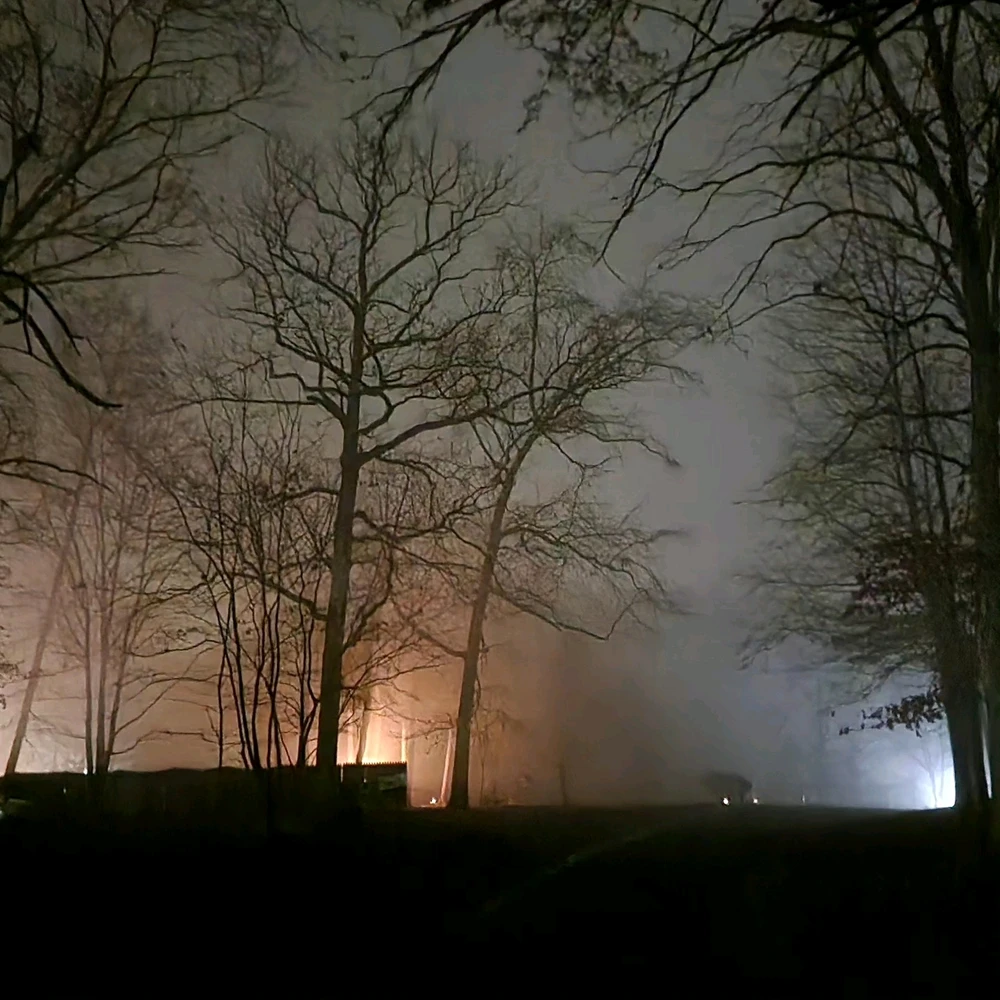 Image uploaded by Andy