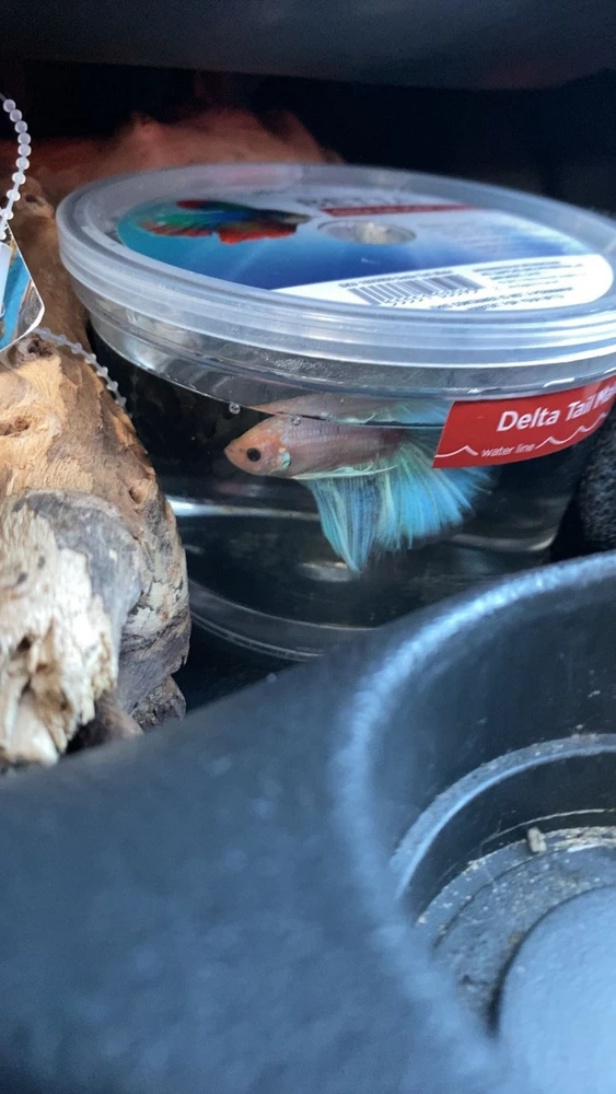 Image uploaded by Evander