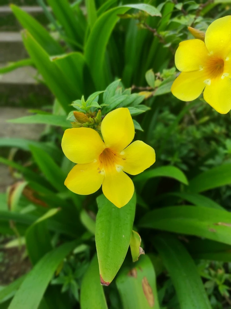 Image uploaded by Deepak
