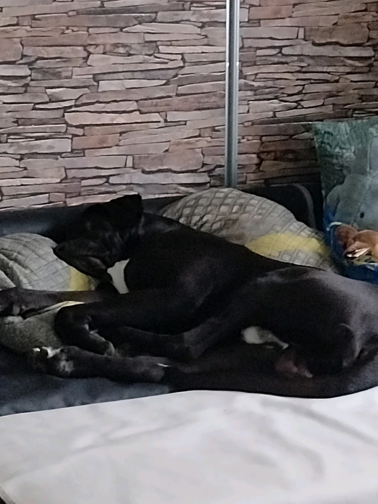 Image uploaded by Emil