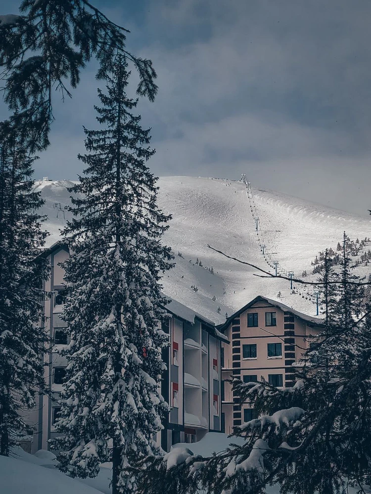 Зображення завантажив Богдан