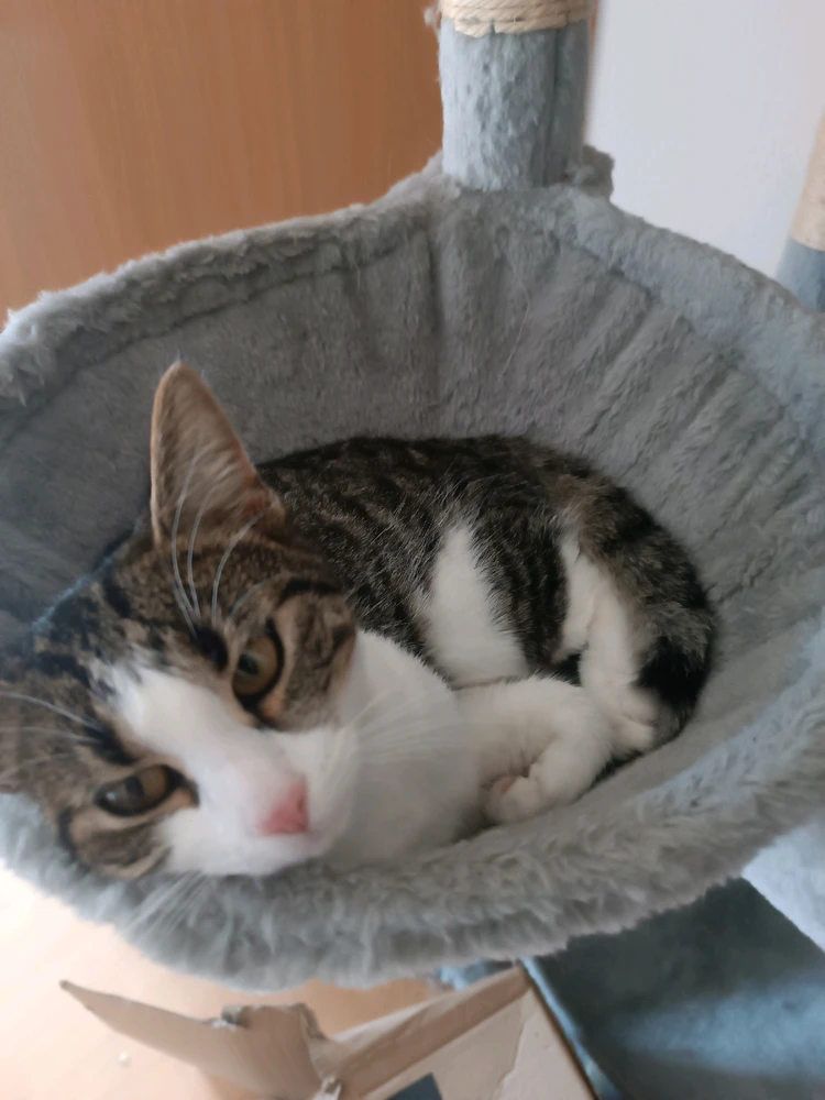 Bild hochgeladen von Ken