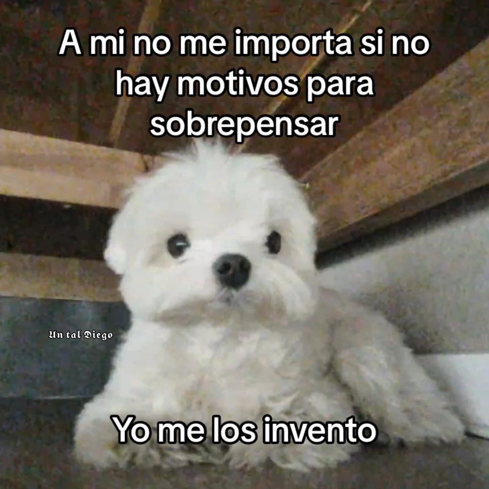 Ministerio Del Meme 💉💯 (@ministeri0delmeme) • Instagram photos and videos, image size:1000x1000