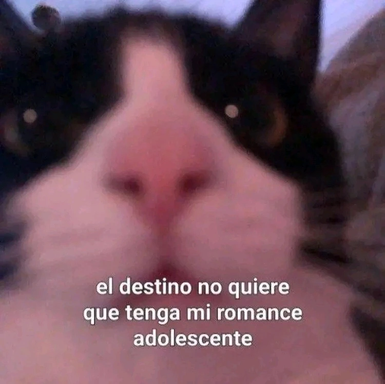 Image uploaded by Jesus Anaya