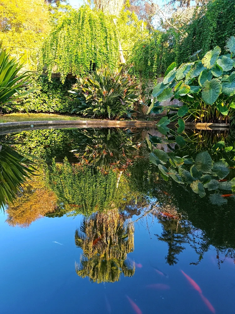 Imagem enviada por Fenixt