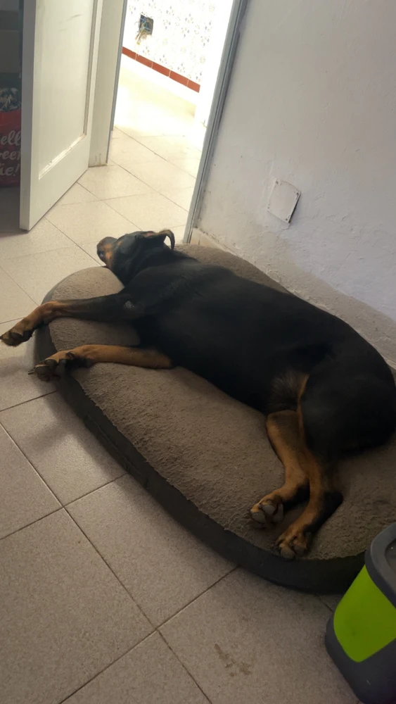 Image uploaded by Dominic