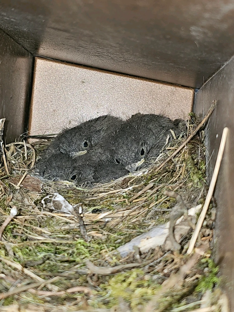 Bild hochgeladen von Erik