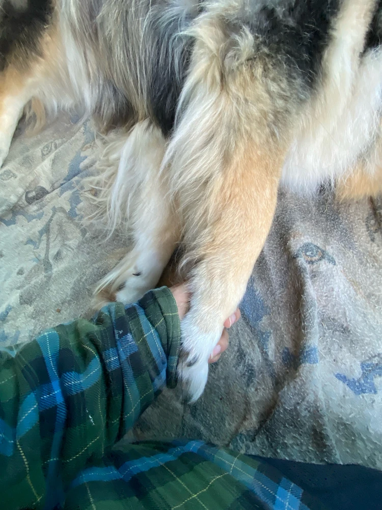 Bye, Sano. I love you!