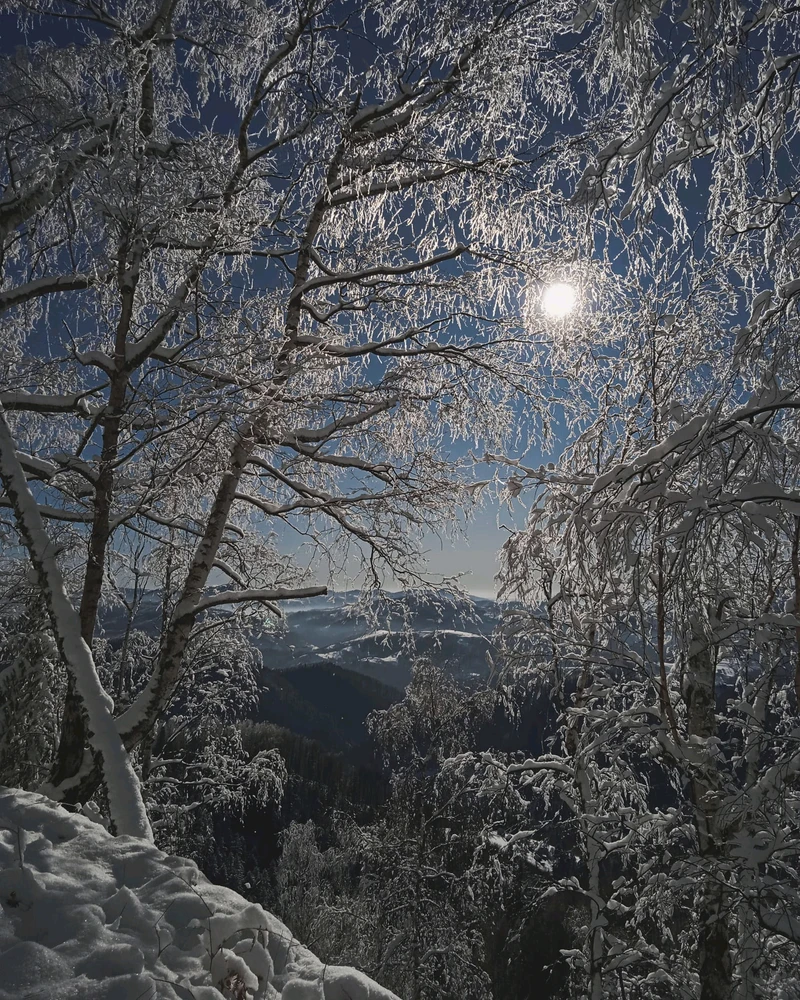 Image uploaded by Arafel