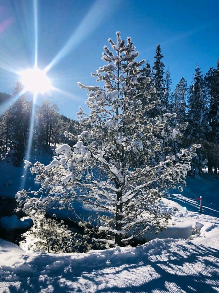 Gambar diunggah oleh Isa