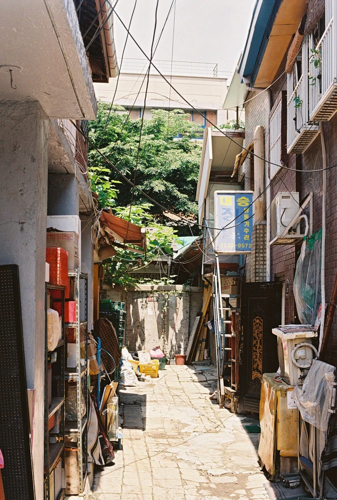 Yuchan님이 올린 사진