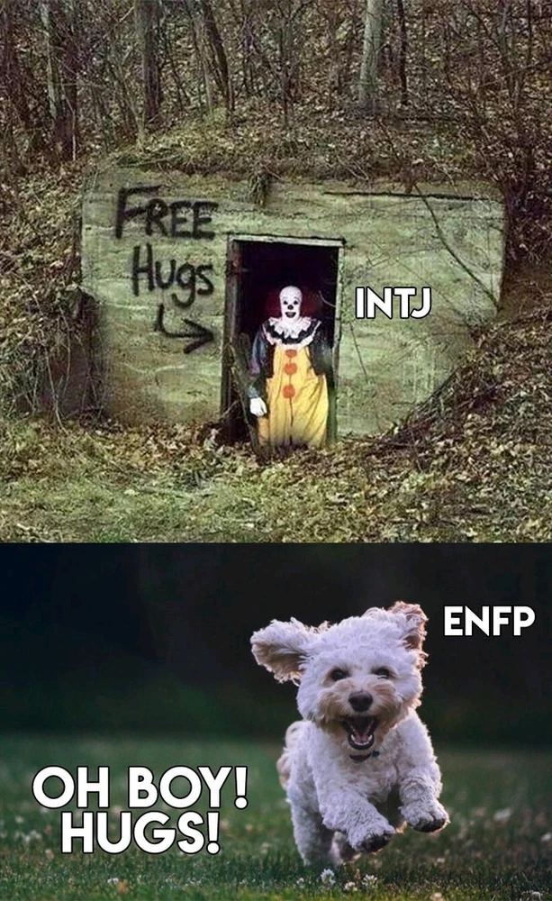 Image ajoutée par Aymeric