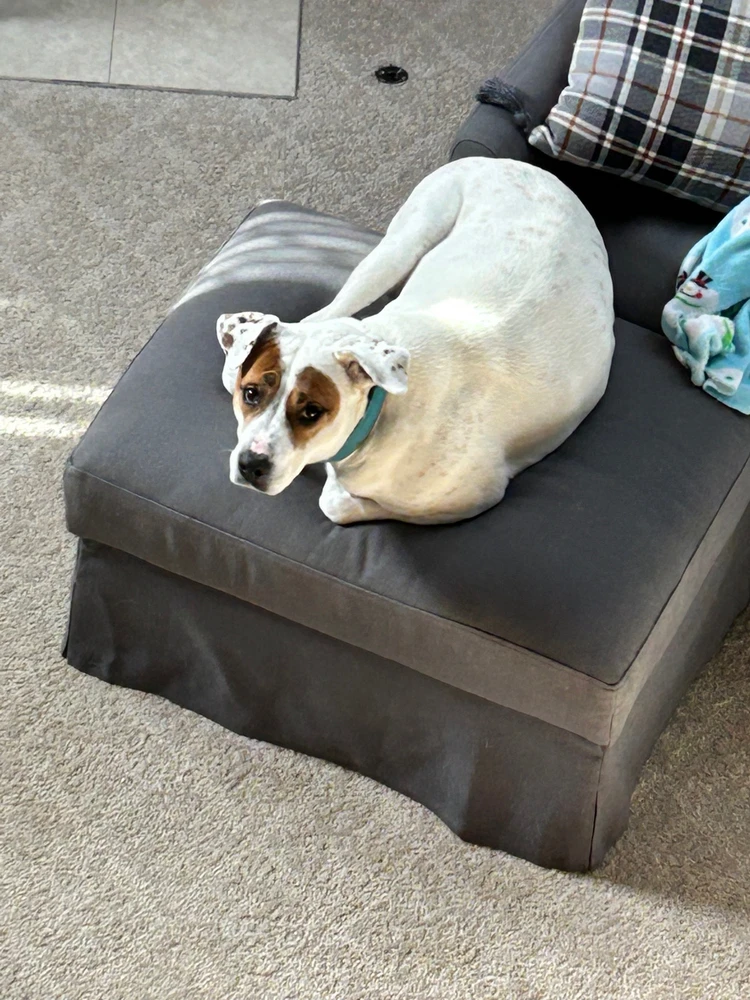 Image uploaded by James