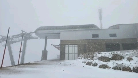 Image uploaded by Guy