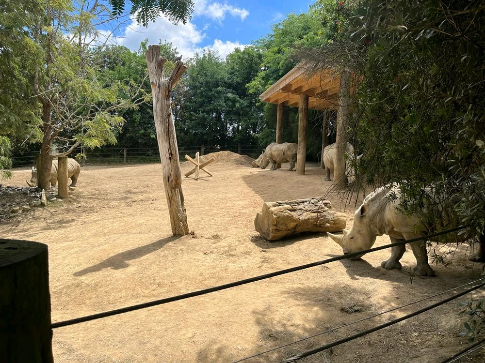 Image uploaded by Viswa