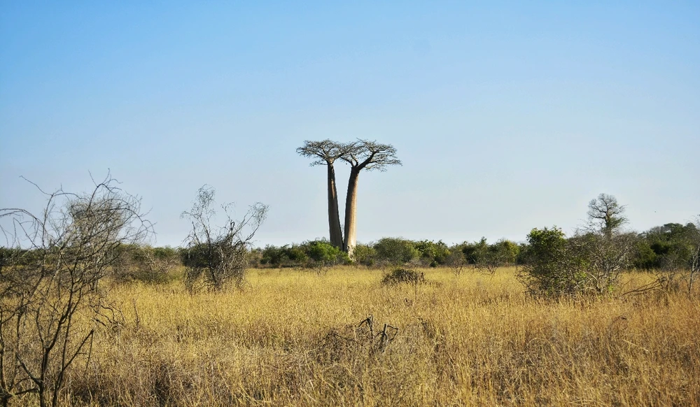 Image ajoutée par Roxane