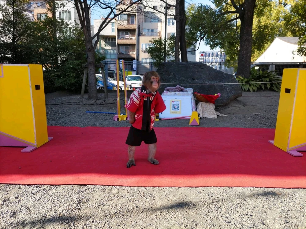 Image uploaded by Mg