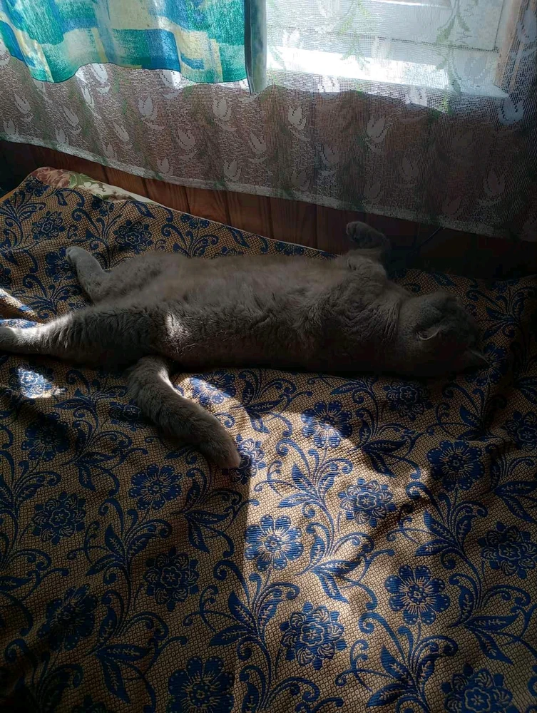 Image uploaded by Kateryna