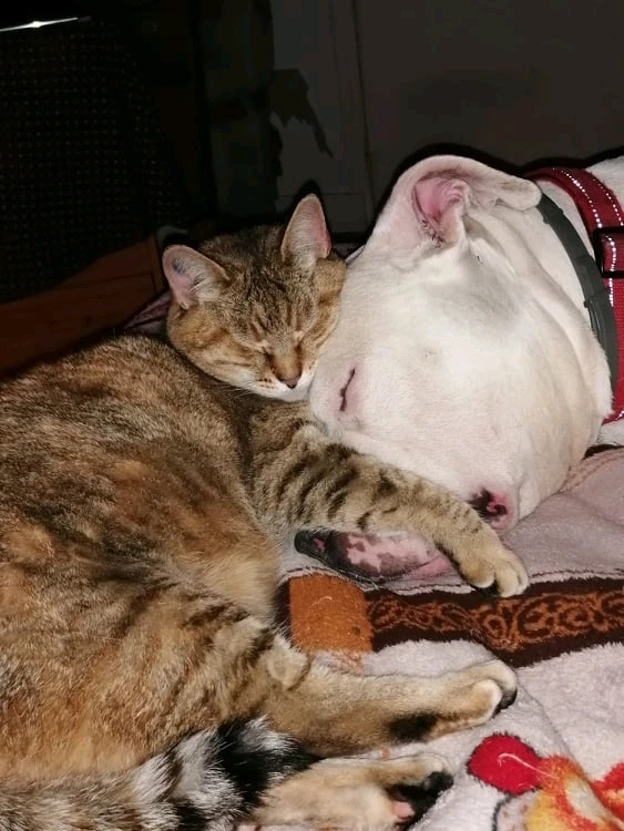 Image ajoutée par Jason