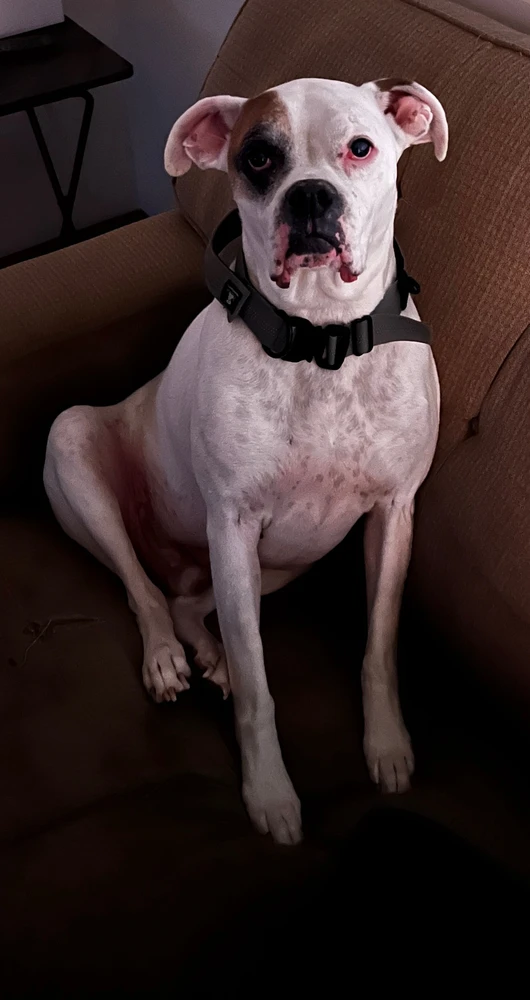 Image uploaded by John